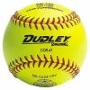 DUDLEY SPORTS Dudley WIAA Yellow SBs - Doz