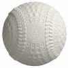 MARKWORT SPORTING GOODS KENKO AIR CUSHIONED BALL (9" WHITE) -Bisoninc Shop PROA White