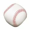 Champion Sports CHAMPION SOFT SPORT BALL (SOFTBALL) -Bisoninc Shop apivqoof3 75870.1608673415.1280.1280
