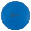 Champion Sports CHAMPION FITPRO™ BALLS (37" BLUE)