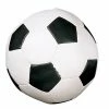 Champion Sports CHAMPION SOFT SPORT BALL (SOCCERBALL) -Bisoninc Shop sb7