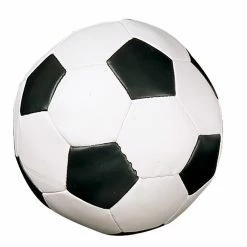 Champion Sports CHAMPION SOFT SPORT BALL (SOCCERBALL)